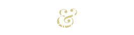 Brian Gibbs and Associates AI light logo